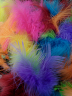 Easter Feathers