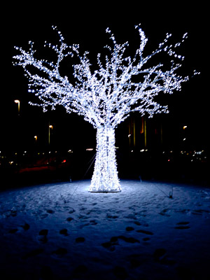 Light Tree (1 av 1)