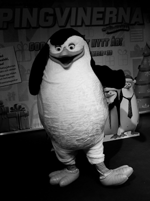 Pingvin-1