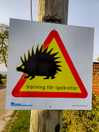 Warning Hedgehog!